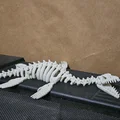 Mô hình bộ xương khủng long Plesiosaurus khớp nối linh hoạt in 3D - Thumbnail 4