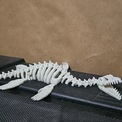Mô hình bộ xương khủng long Plesiosaurus khớp nối linh hoạt in 3D