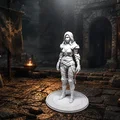 Thợ Săn Đêm Trong Giáp Tấm (Night Hunter in Plate Armor) - Thumbnail 1
