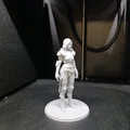Thợ Săn Đêm Trong Giáp Tấm (Night Hunter in Plate Armor) - Thumbnail 4