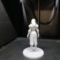 Thợ Săn Đêm Trong Giáp Tấm (Night Hunter in Plate Armor) - Thumbnail 5