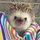 Lazyschillin_4092096