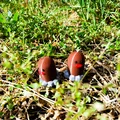 Mô hình Diglett Pokemon số 50 - File in 3D cực đáng yêu - Thumbnail 9