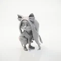 Tượng Mèo Cute Chibi Dễ Thương – 3D Printable - Thumbnail 1