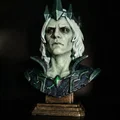 Bust Viego - Thumbnail 1