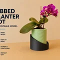 Chậu trồng cây gân sọc (Ribbed planter pot) - Thumbnail 1