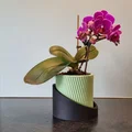 Chậu trồng cây gân sọc (Ribbed planter pot) - Thumbnail 2