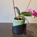 Chậu trồng cây gân sọc (Ribbed planter pot) - Thumbnail 3