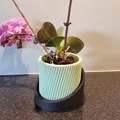 Chậu trồng cây gân sọc (Ribbed planter pot) - Thumbnail 4