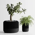 Chậu cây cảnh in 3D phong cách Homepod hiện đại cho không gian sống - Thumbnail 1