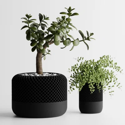 Chậu cây cảnh in 3D phong cách Homepod hiện đại cho không gian sống