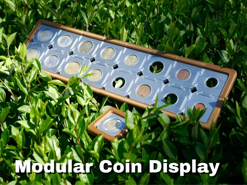 Kệ Trưng Bày Xu Modular (Modular Coin Display) - Image 1