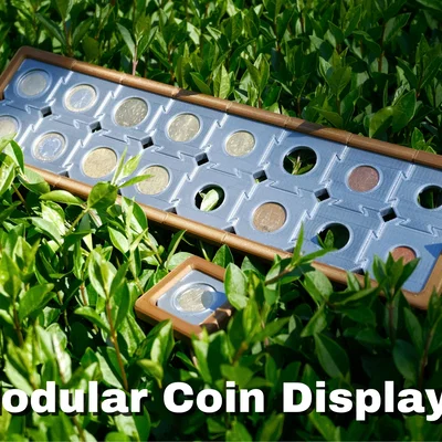 Kệ Trưng Bày Xu Modular (Modular Coin Display)