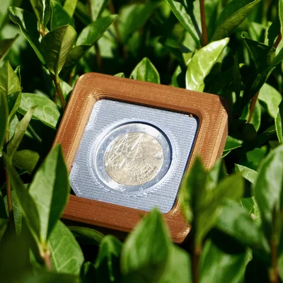 Kệ Trưng Bày Xu Modular (Modular Coin Display)