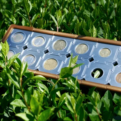 Kệ Trưng Bày Xu Modular (Modular Coin Display)