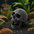 Trang trí bể cá Hộp Sọ Há Miệng (Open Jaw Skull Aquarium Decor) - Thumbnail 1