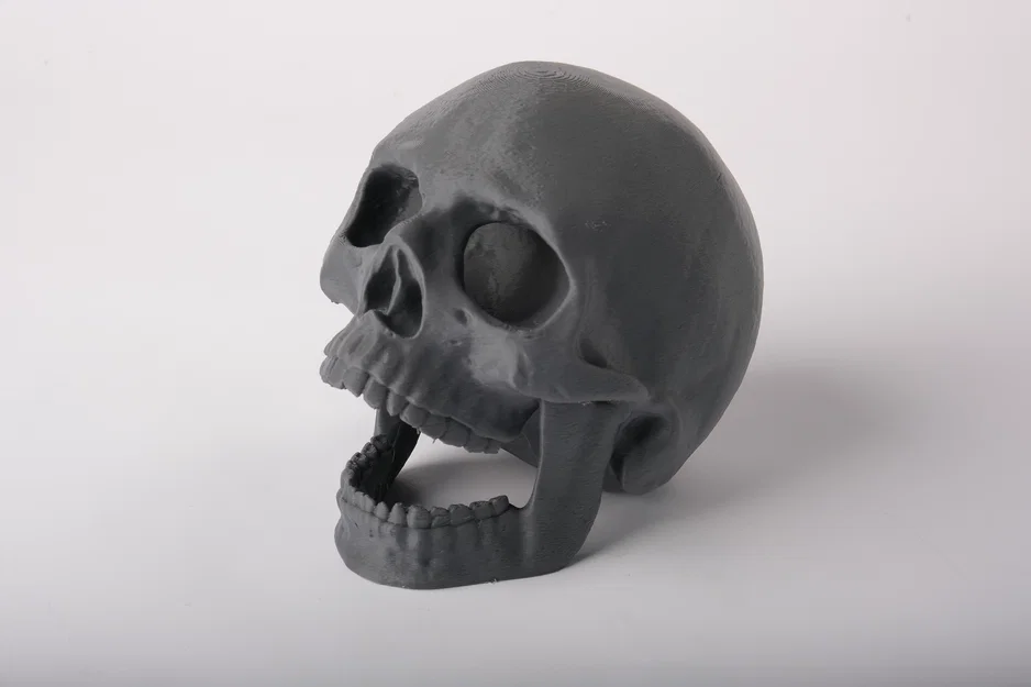 Trang trí bể cá Hộp Sọ Há Miệng (Open Jaw Skull Aquarium Decor) - Image 2