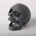 Trang trí bể cá Hộp Sọ Há Miệng (Open Jaw Skull Aquarium Decor) - Thumbnail 2