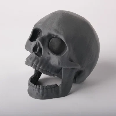 Trang trí bể cá Hộp Sọ Há Miệng (Open Jaw Skull Aquarium Decor)