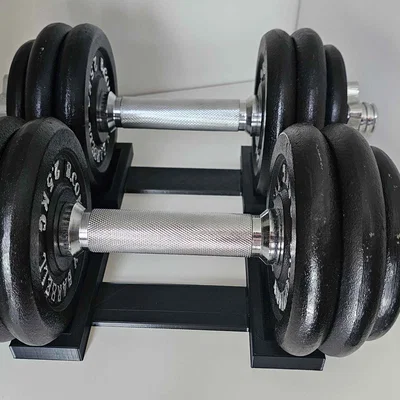 Khay Đỡ Tạ Đơn (Dumbbell Holder) In 3D Đa Năng Cho Home Gym