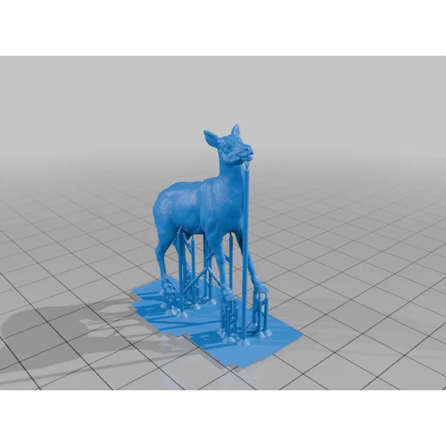 Elk - female (Nai sừng tấm cái) - Image 2