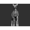 Elk - female (Nai sừng tấm cái) - Thumbnail 3