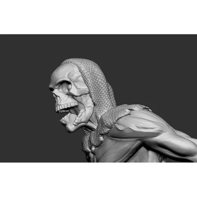 Bộ xương hầm mộ Tresendar 4 (Tresendar crypt skeleton 4)