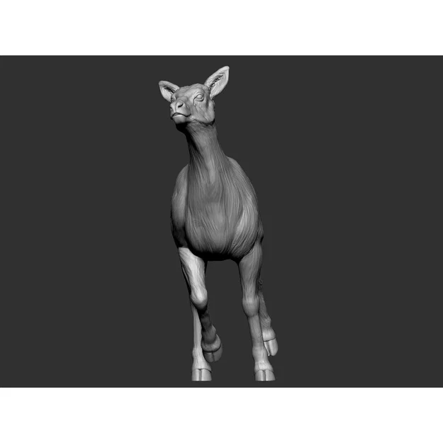 Elk - female 2 (Nai cái 2) - Image 2