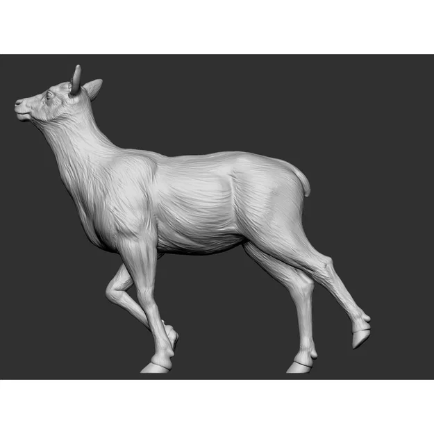 Elk - female 2 (Nai cái 2) - Image 3