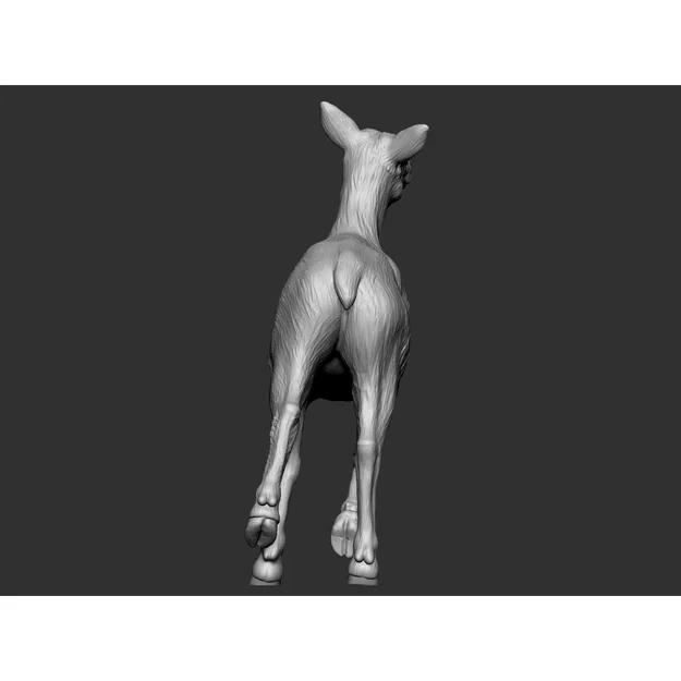 Elk - female 2 (Nai cái 2) - Image 6