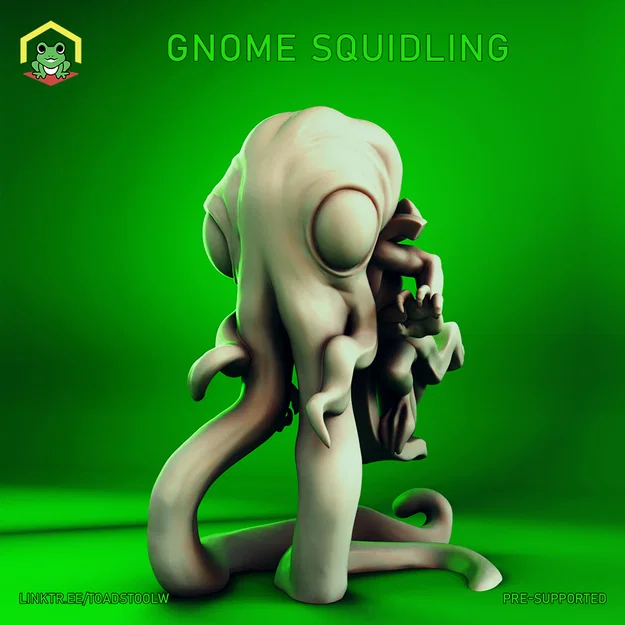 Gnome Squidling - Image 1