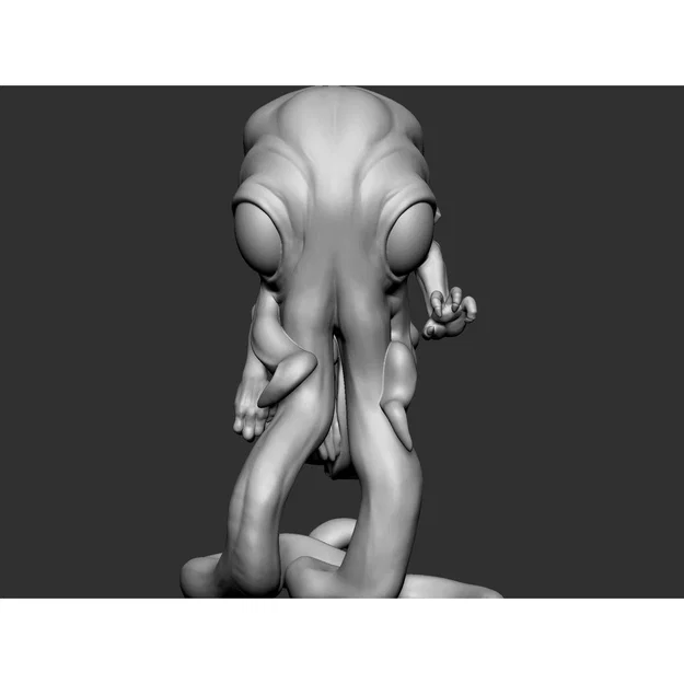 Gnome Squidling - Image 5