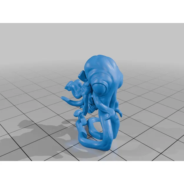 Gnome Squidling - Image 7
