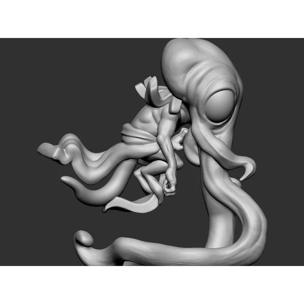 Gnome Squidling - Image 8