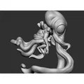 Gnome Squidling - Thumbnail 8