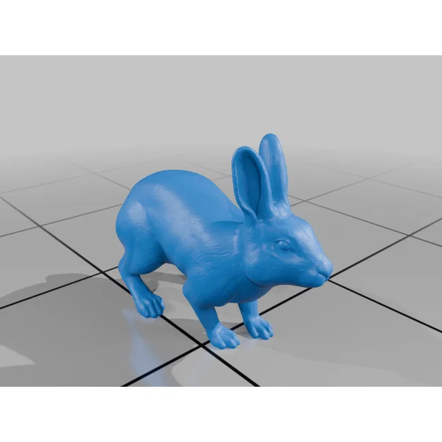 Thỏ (Rabbit) - Image 3