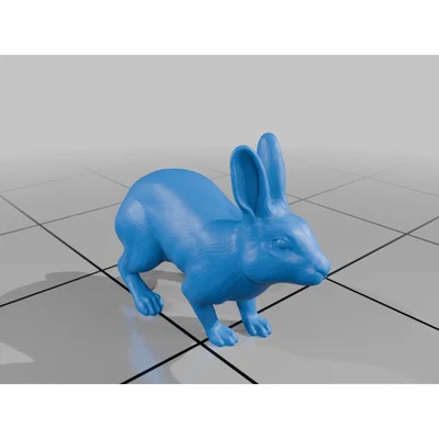 Thỏ (Rabbit)