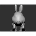 Thỏ (Rabbit) - Thumbnail 6