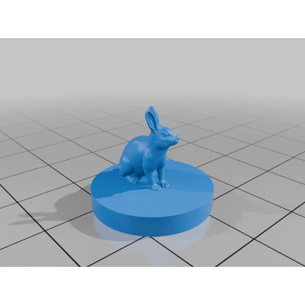 Thỏ (Rabbit) - Image 10