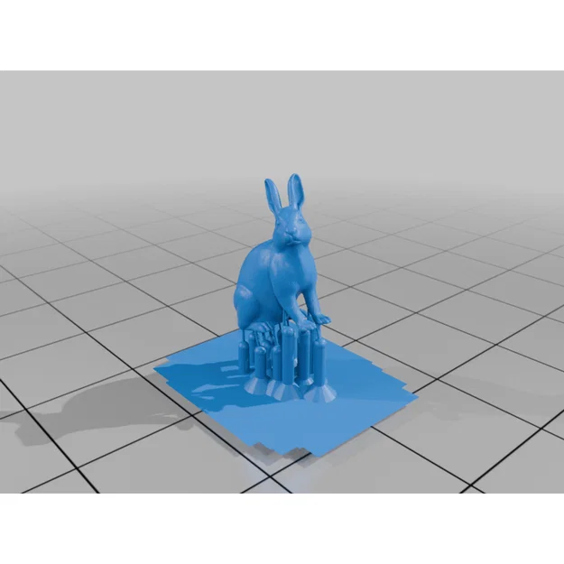 Thỏ (Rabbit) - Image 12