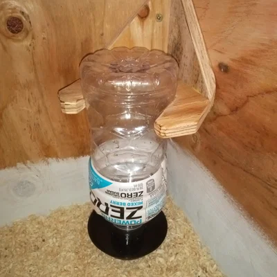 Máng nước gà con cho chai Powerade (ren 3 vòng) – 2 cỡ + anti drown
