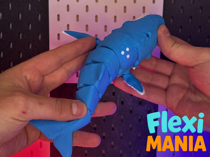 Flexi Whale Timmy - Cá voi Print-in-Place – Không cần Support - Image 3