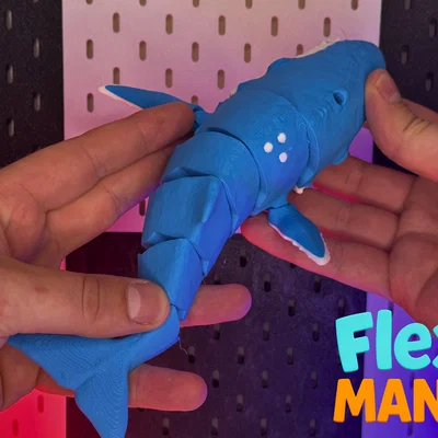 Flexi Whale Timmy - Cá voi Print-in-Place – Không cần Support
