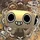 MJBeker_2995295