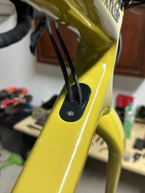 Nắp đậy cáp Cannondale SuperSix EVO (chuyển đổi 3 sang 2 dây) - Image 1