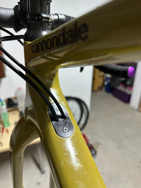 Nắp đậy cáp Cannondale SuperSix EVO (chuyển đổi 3 sang 2 dây) - Image 2