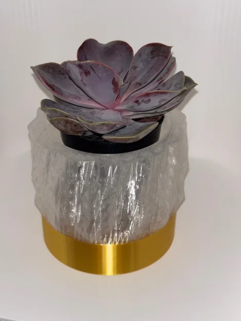 Chậu Mọng Nước Gold & Crystal (không có lỗ thoát nước) - Image 2