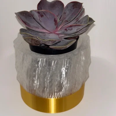 Chậu Mọng Nước Gold & Crystal (không có lỗ thoát nước)