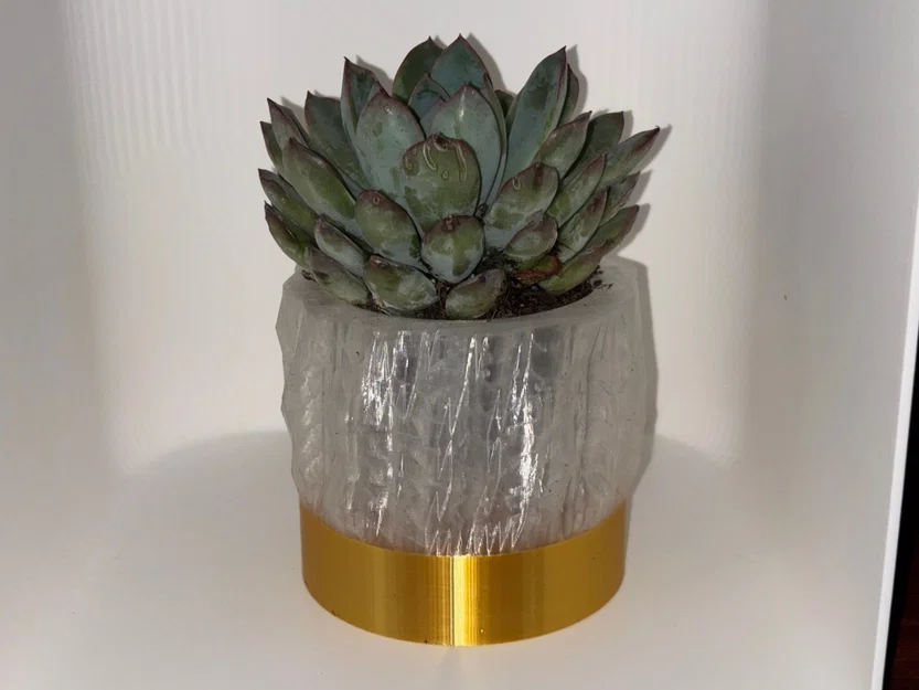 Chậu Mọng Nước Gold & Crystal (không có lỗ thoát nước) - Image 3