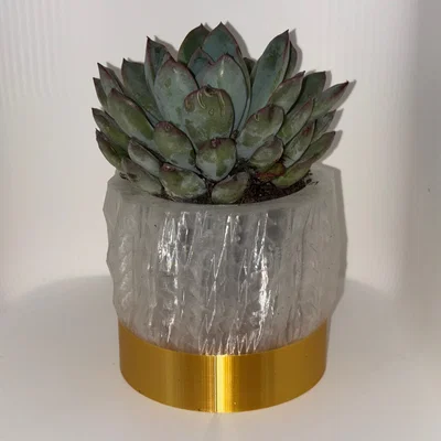 Chậu Mọng Nước Gold & Crystal (không có lỗ thoát nước)